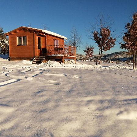 Le Chalet Des Etoiles Champagnac-le-Vieux 外观 照片