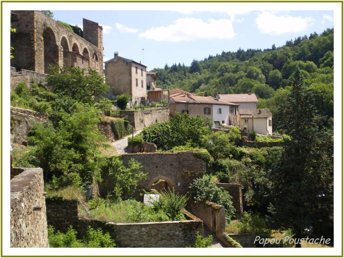Le Chalet Des Etoiles Champagnac-le-Vieux 外观 照片
