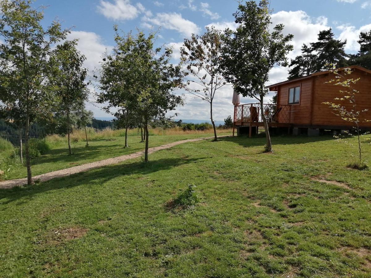 Le Chalet Des Etoiles Champagnac-le-Vieux 外观 照片