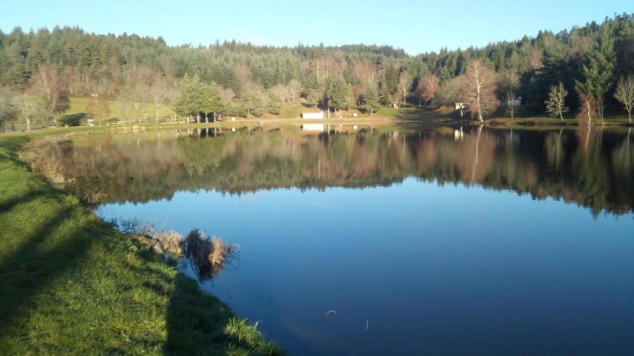 Le Chalet Des Etoiles Champagnac-le-Vieux 外观 照片