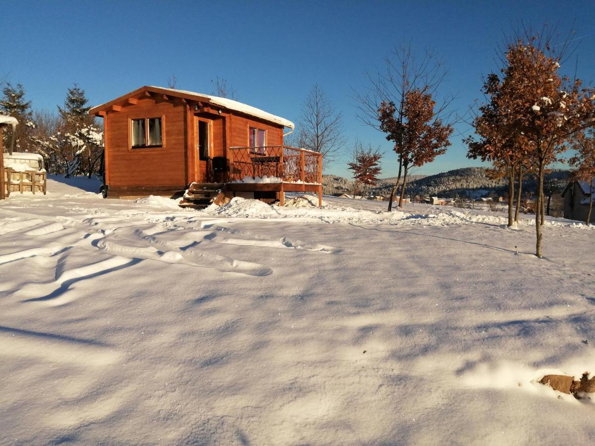 Le Chalet Des Etoiles Champagnac-le-Vieux 外观 照片